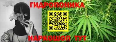 spice Лесосибирск